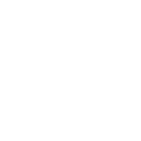 Holistic Treatment Approach